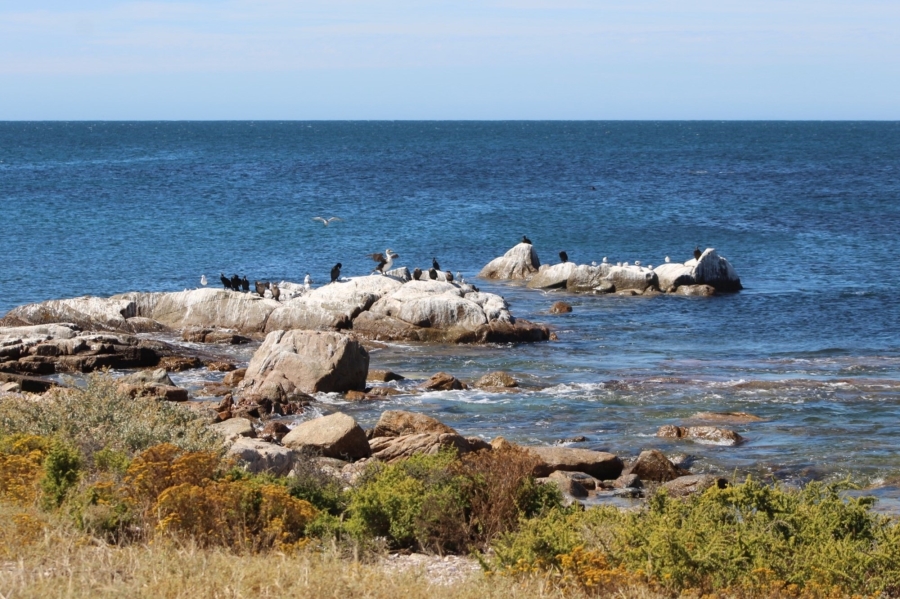 3 Bedroom Property for Sale in Shelley Point Western Cape